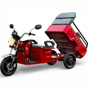 Двуместна Товарна Електрическа Триколка, 2500W, 5 батерии, 60V,20Ah, 500кг, демултипликатор,EEC Сертификат, червена