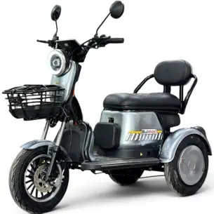 Двуместна електрическа триколка Bullmax Pudding Grand, 2000W, 60V, 20Ah, 5 батерии, 60км преход