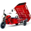 Двуместна електрическа товарна карго триколка, 4000W, 600кг, голяма платформа, 80км пробег, за ферми, стопанства и хотели - 2933