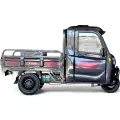 Електрическа товарна селскостопанска затворена триколка с кабина, 4000W, всички екстри за модела, 72V/58Ah, 600кг товароносимост - 2969
