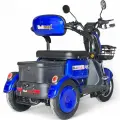Триместна електрическа триколка Bullmax R3, 60V,20A, 2000W, 10 инча гуми, 5 батерии, задно предаване, Синя Перла - 2224