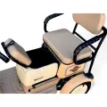 Триместна електрическа триколка с покрив и предно стъкло Bullmax C5, 2000W, 60V/20Аh - 3107