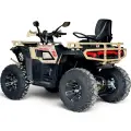Бензиново ATV Bullmax 250cc FURY Desert Storm, 4- тактов, 16Nm, 5500 rpm, всички екстри за модела - 2801